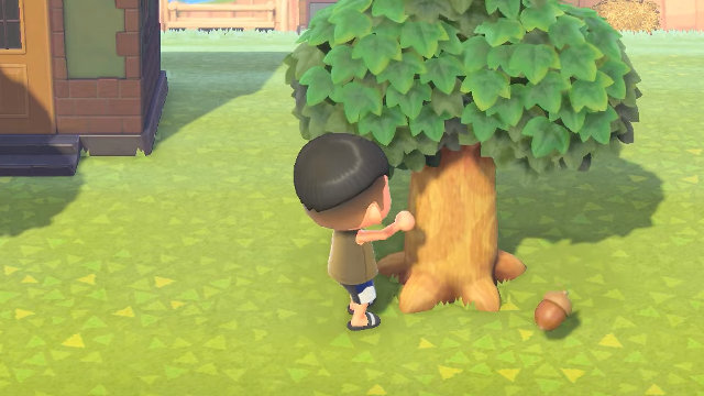 Animal Crossing September 2020 update acorn