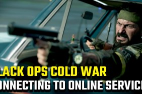Black Ops Cold War 'Connecting to Call of Duty Online Services'