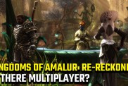 Kingdoms of Amalur: Re-Reckoning multiplayer