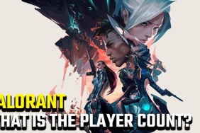 Valorant player count