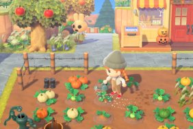 Animal Crossing: New Horizons Acorn recipes and uses
