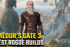 Baldur's Gate 3 Best Rogue Build