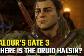 Baldur's Gate 3 Rescue the Druid Halsin