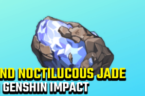 Genshin Impact Get the Invoices Noctilucous Jade Location