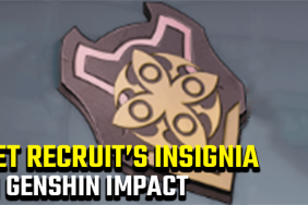 Genshin Impact Recruits Insignia Location and Use