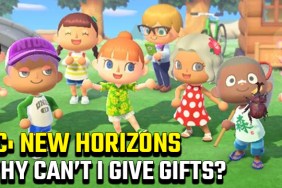 Why can't I give gifts to villagers in Animal Crossing New Horizons
