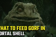 What to feed Gorf in Mortal Shell to get shaders