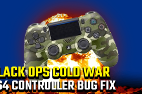 Black Ops Cold War PS4 Controller Bug Fix