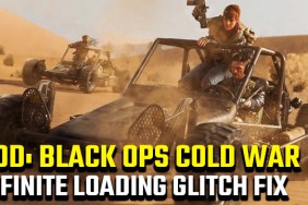 Black Ops Cold War infinite loading bug fix