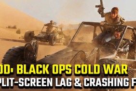 Black Ops Cold War split-screen lag
