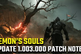 Demon's Souls 1.003.000 update