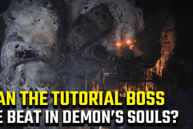 Demon's Souls can you beat the tutorial boss
