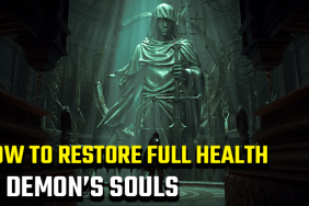 Demon's Souls how to restore full health