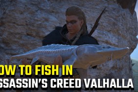 how to fish in Assassin's Creed Valhalla