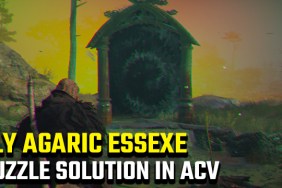 Assassin's Creed Valhalla | Fly Agaric fire puzzle solution in Essexe