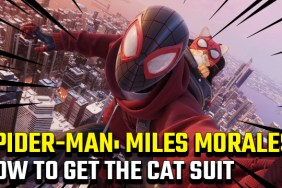 Spider-Man Miles Morales Cat Suit