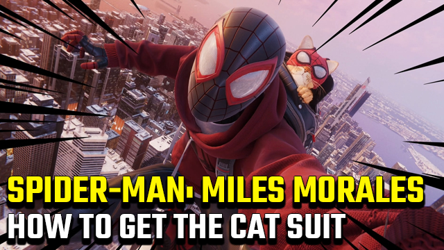 Spider-Man Miles Morales Cat Suit