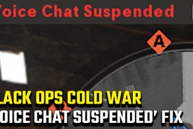 Black Ops Cold War 'Voice Chat Suspended' Error