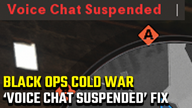 Black Ops Cold War 'Voice Chat Suspended' Error