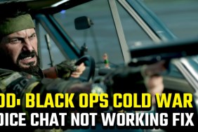 Black Ops Cold War voice chat not working fix