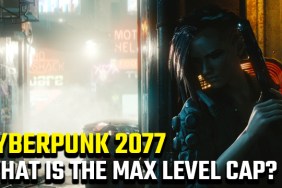 Cyberpunk 2077 max level