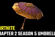 Fortnite Chapter 2 Season 5 Victory Umbrella