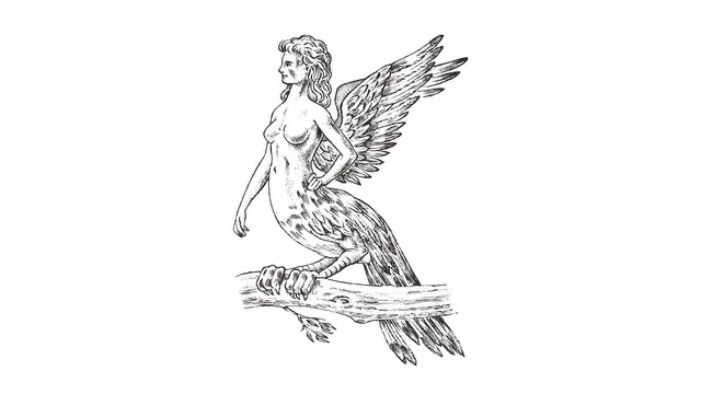 Antique Harpy. Woman Bird Eagle. Mythical Greek monster. Mythological animal. Fantastic creatures in the old vintage style. Engraved hand drawn old sketch.