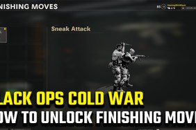 Black Ops Cold War Finishing moves