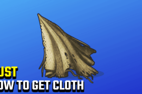 Rust Get Cloth