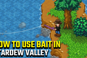 Stardew Valley Use Bait Equip Bait