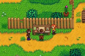 Stardew Valley - How to get to Ginger Island