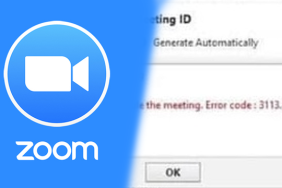 Zoom Error code 3113