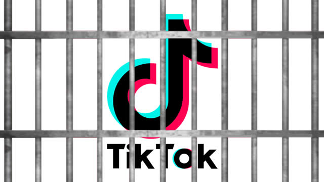 Was TikTok's That Vegan Teacher arrested?