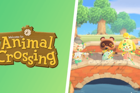Animal Crossing New Horizons Restart Island Reset