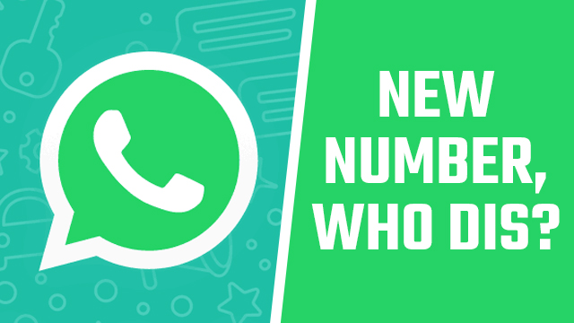 Does WhatsApp give you a phone number