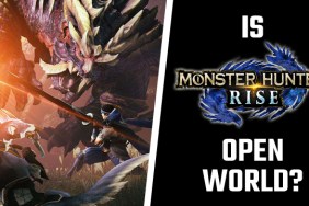 Monster Hunter Rise open world
