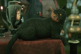 The Mortal Shell PS5 upgrade's best feature is a loud, purring cat