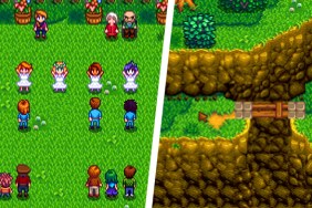 Stardew Valley Flower Dance location