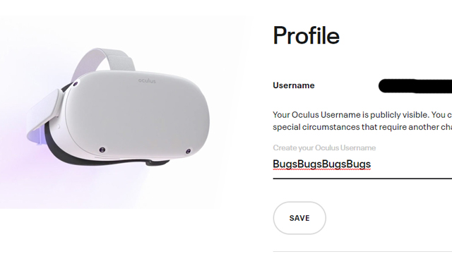 How to change username on Oculus Quest 2