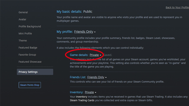 How to show up the game you are playing BUT hide game info like hours,  achievements : r/Steam