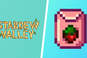 Stardew Valley Summer Seeds