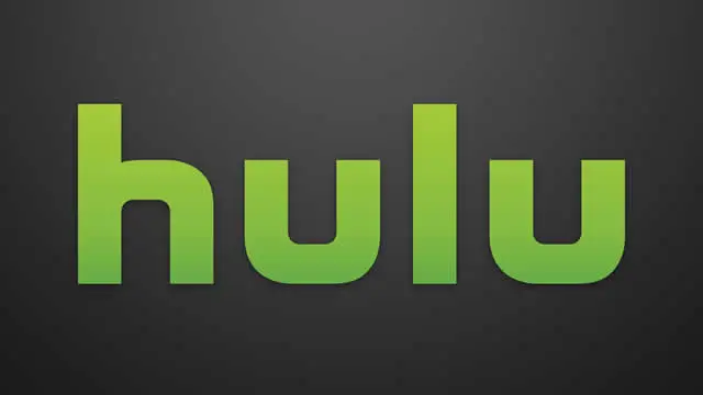What causes Hulu error code 95?