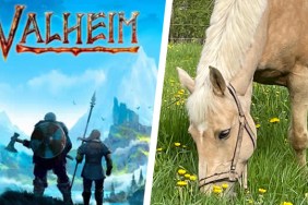 Valheim horse
