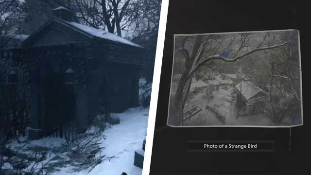 Resident Evil Village Photo of a Strange Bird: Juicy Game location