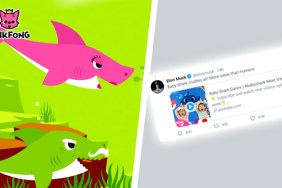 Baby Shark stock