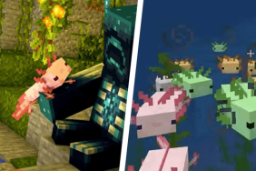 Can you tame Axolotl in Minecraft