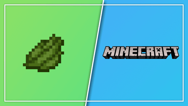 How To Make Green Dye In Minecraft (1.19) Complete Guide!