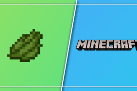 Minecraft Craft Green Dye