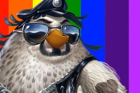 angry birds kink at pride