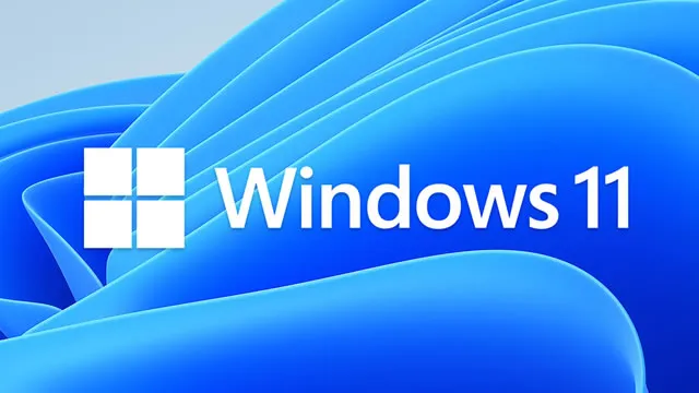 What the Windows 11 "Your organization manages updates on this PC" message means